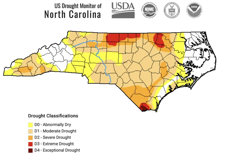 A U.S. Drought Monitor Map of North Carolina illustrating the drought classifications of counties statewide as of August 25, 2026.