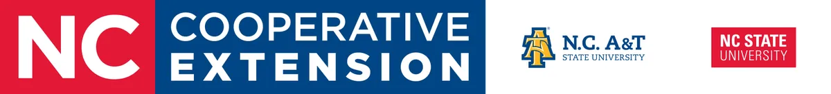 Horizontal Extension logo