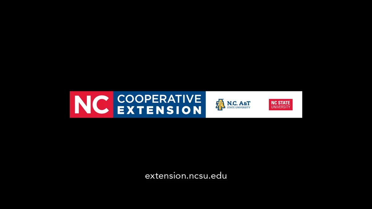 Extension logo on fullscreen black background