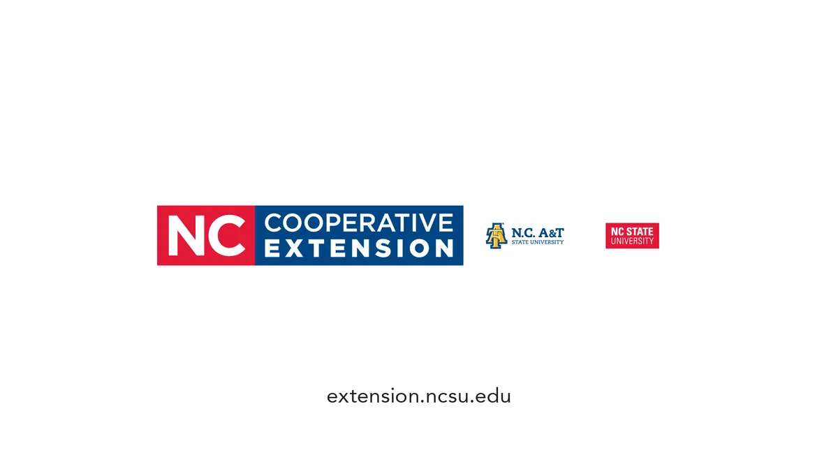 Extension logo on fullscreen white background