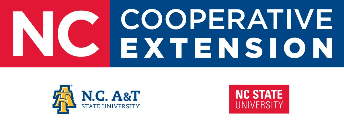 Extension logo