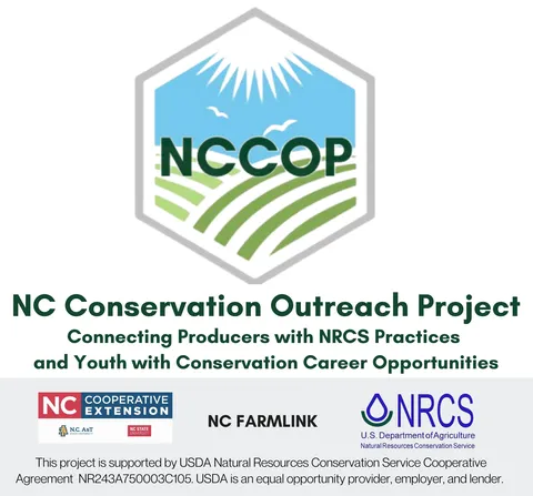 nccop logo white background full text