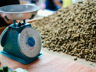 Picture of weight scale