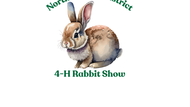 4-H Rabbit Show