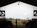NCSU Barn