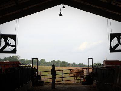 NCSU Barn
