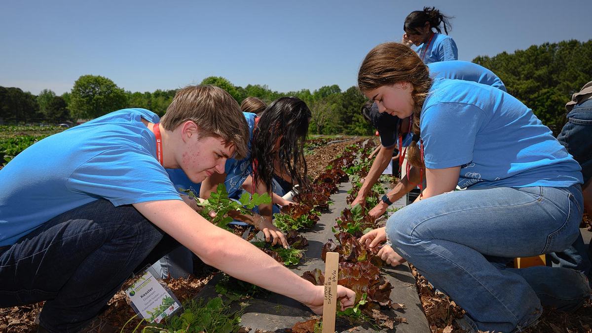 NCYI participants work with plants at a farm