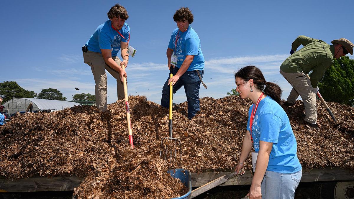 Two teenagers shovel mulch into a wheelbarrow held by another