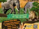 flyer advertising 4-H pop-up adventure outing on Aug. 7th