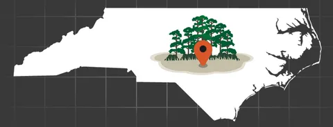 North Carolina with trees icon
