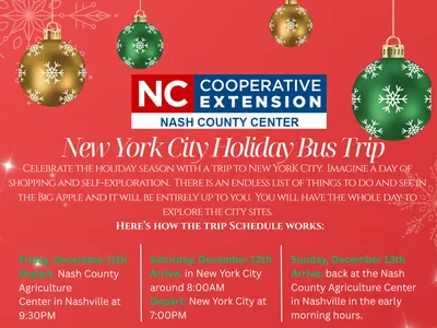 New York City Holiday Bus Trip