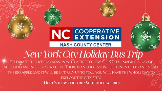 New York City Holiday Bus Trip