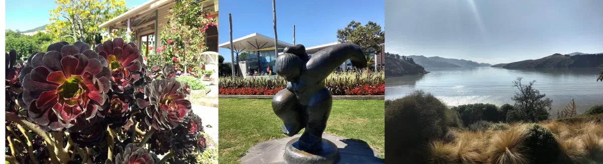A collage of images illustrate the diversity of New Zealand landscapes. From left to right, they show a plant with black leaves, a statue of a dancing women, and a peaceful lake surrounded by mountains.