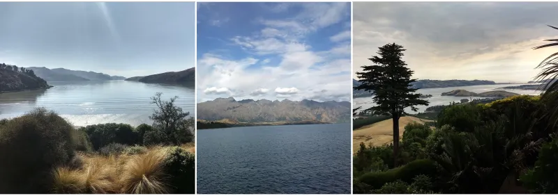 A colleague of New Zealand landscapes displays sparkling waters, soaring mountains, and rolling hills.