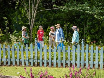 Native Plant Garden Volunteers