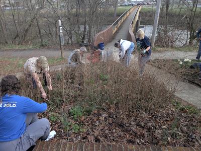 Extension Master Gardener Cleanup Day at the Riverwalk Native Plant Garden