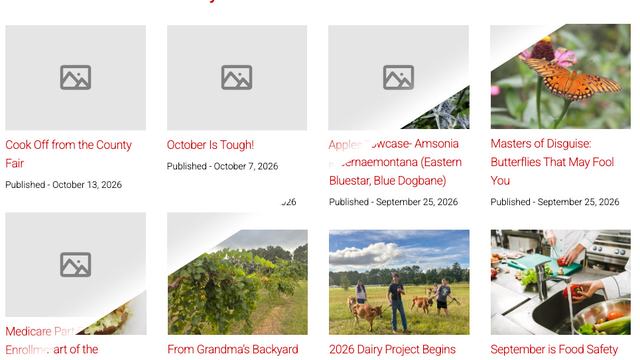 A list of articles transforms from having no featured image to having color featured images.