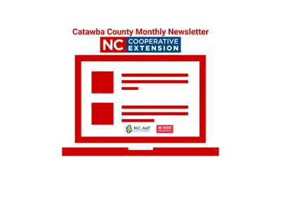 Monthly Newsletter