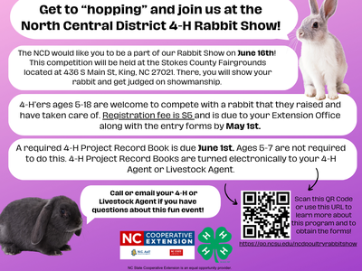 rabbit show flyer