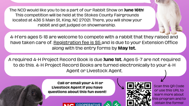 rabbit show flyer