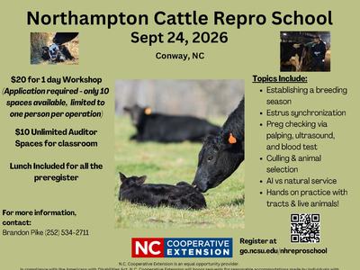 Cattle Reproduction School Flyer