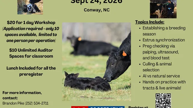 Cattle repro school september 24th in Conway register at go.ncsu.edu/nhreproschool