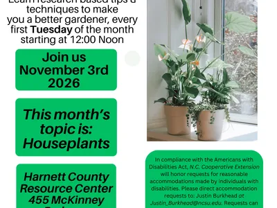 November Lunch and Learn Flyer