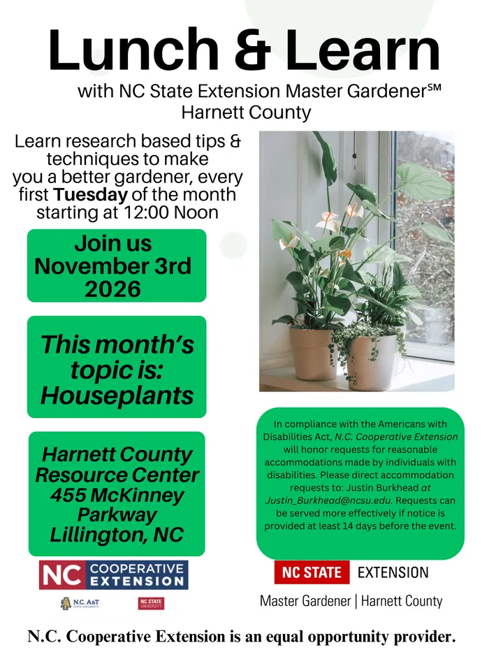 November Lunch and Learn Flyer