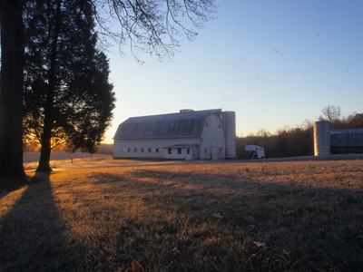 A white barn in morning sunlight surrounded by trees, a field and blue sky.