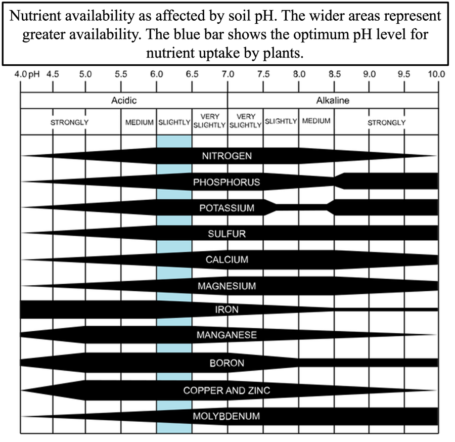 Graph showing nutrient availability as affected by soil pH, with wider bars indicating greater availability and a blue bar highlighting the optimum pH range for plant nutrient uptake.