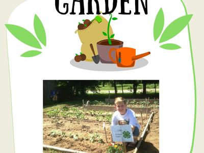 Boy posing with his 4-H Mini Garden