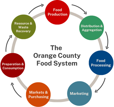 The Orange County food system consists of 7 major areas according to Christy Shi from Cornell University’s Discovering the Food System: A Primer on Community Food Systems.