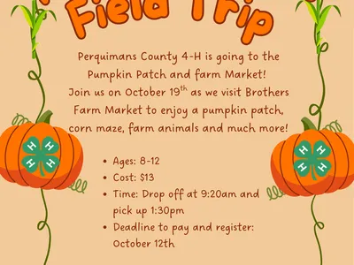 Flyer advertising field trip to Brother's Farm Market with pumpkins on it.