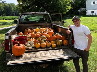Man with pumpkins in truck