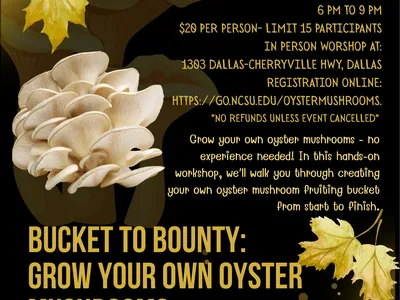 Oyster Mushroom Workshop Flyer