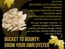 Oyster Mushroom Workshop Flyer