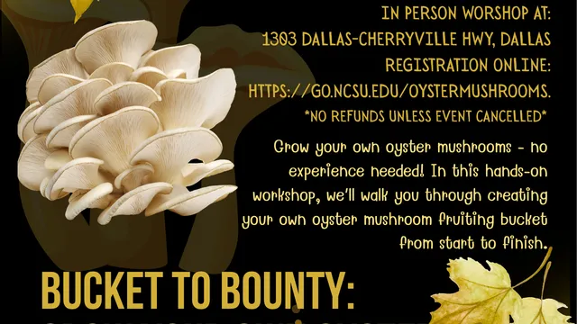 Oyster Mushroom Workshop Flyer