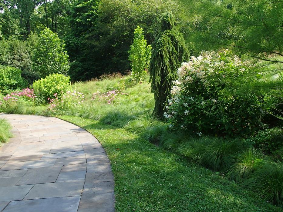 a garden scene with a path