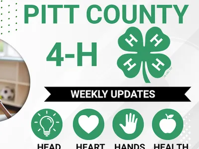 pitt county 4h weekly updates
