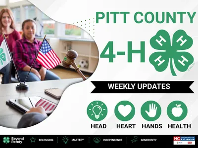 Pitt County 4-H Weekly Updates graphic featuring logo, 4-H pledge icons, and desk setup.