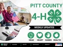 Pitt County 4-H Weekly Updates graphic featuring logo, 4-H pledge icons, and desk setup.