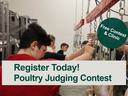 PJ contestants judging whole chicken carcasses