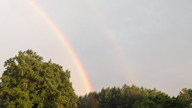 Rainbow after rain storm in NC.