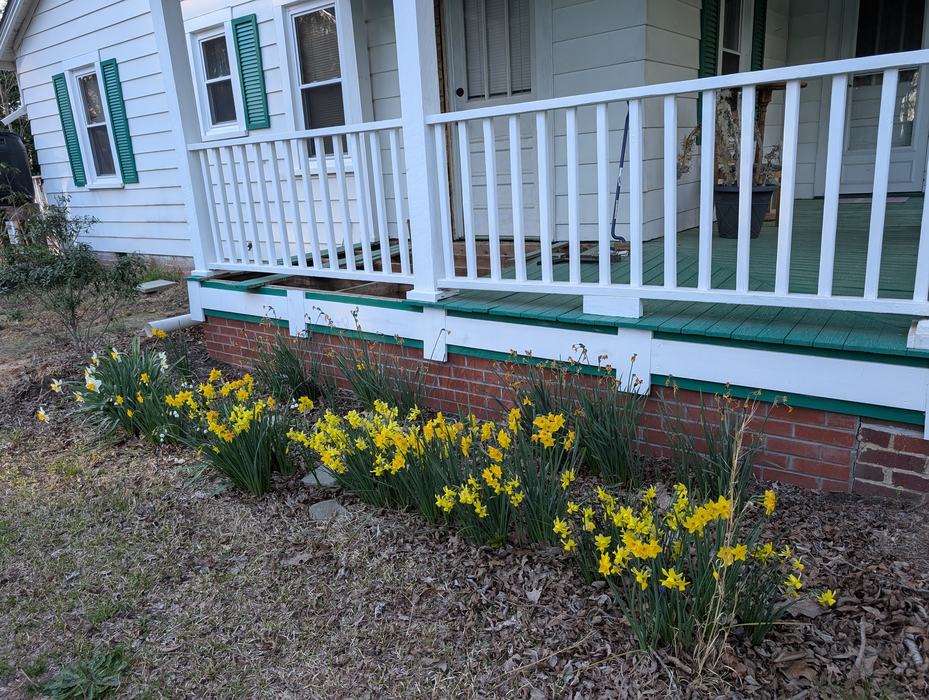 flowers in front garden bed