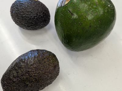 Avocados and nutrition