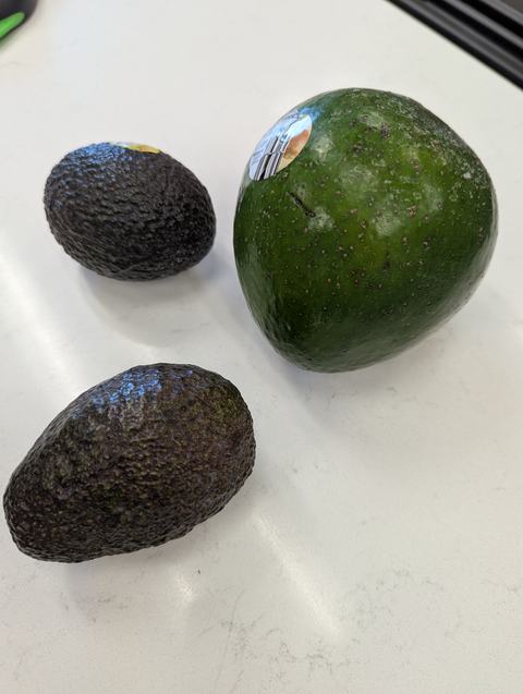 Avocados and nutrition
