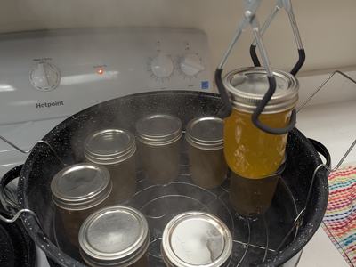 Family and Consumer Sciences Agent preserving food in demonstration kitchen.