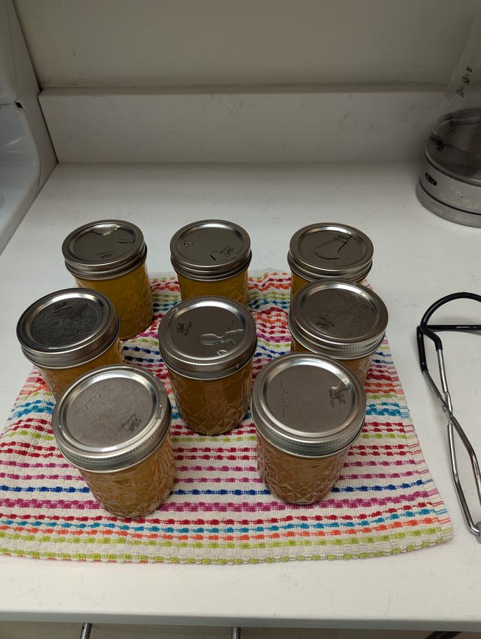 Preserving foods in Brunswick County Extension office.