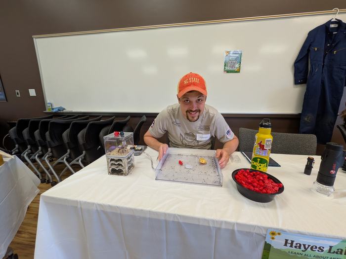 A man shows a tray containing carpenter ants