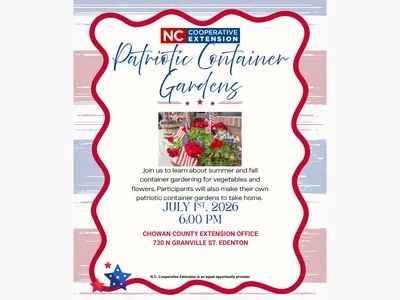 Patriotic container garden flyer